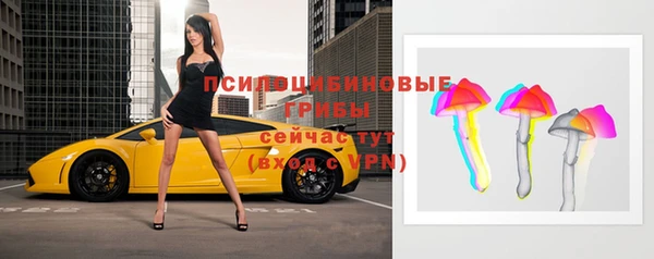 сатива Алексин