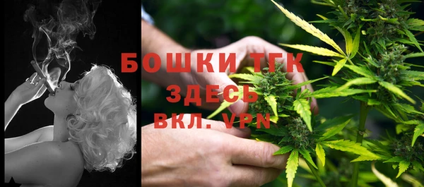 сатива Алексин