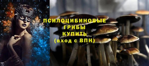 таблы Алзамай